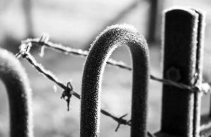 asylum railings bw sm.jpg